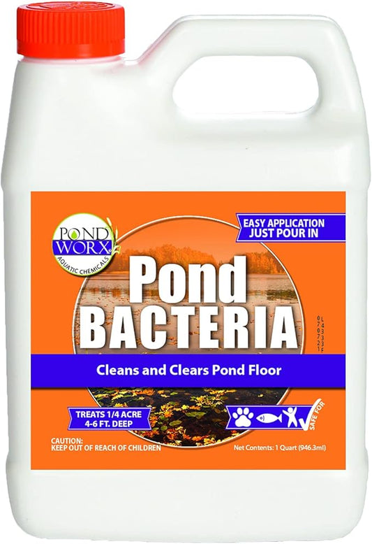 Pond Worx Pond Bacteria - Concentrated & Formulated for Large Ponds, Water Features - Safe for Koi - 32 Ounces & Treats up to a Quarter Acre Pond
