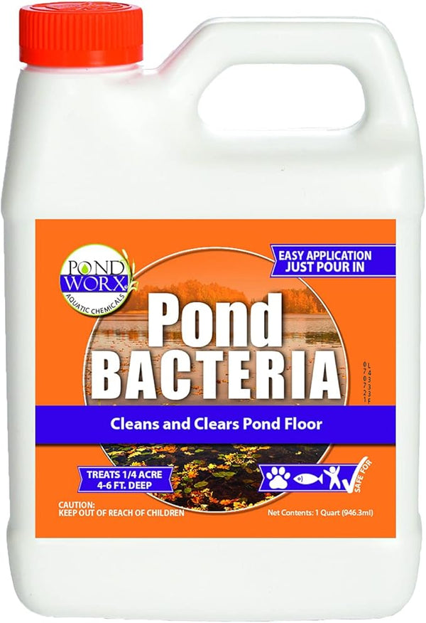 Pond Worx Pond Bacteria - Concentrated & Formulated for Large Ponds, Water Features - Safe for Koi - 32 Ounces & Treats up to a Quarter Acre Pond