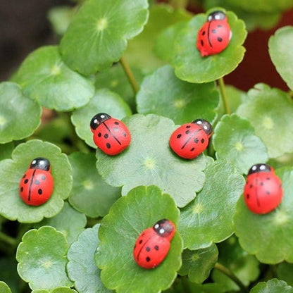 Jinshining 20Pcs Red Mini Ladybug Decor DIY Micro Landscape Decoration Garden Miniatures Ornament Accessories Micro Landscape Ornaments Scrapbooking Miniature Fairy Garden Accessories Outdoor Statues