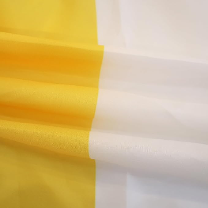 AZ FLAG Vatican Flag 150 x 90 cm with 4 Eyelets for Balcony or Wall