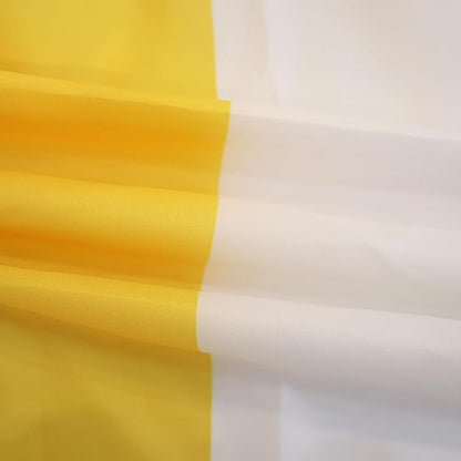 AZ FLAG Vatican Flag 150 x 90 cm with 4 Eyelets for Balcony or Wall