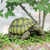 Realistic Turtle Statue Resin Turtle Statue Decor, Garden Sculpture Indoor/Outdoor Courtyard Lawn Ornament, Home Decor
