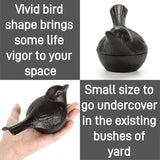 Pumtus Cast Iron Key Hider, Birds Hide-a-Key Holder, Outdoor Small Garden Statues Ornament, Outside Spare Key Hider Figurine, Indoor Decoration Jewelry Trinkets Box for Ear Studs, Rings, Paper Clips