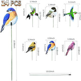 24PCS Bird Garden Stakes Decoration, 2D Flat Vibrant Bird Yard Decoration, Durable Weather Resistant Spring Garden Decorations for Crafts Outdoor Wall Patio Plant Yard Decor