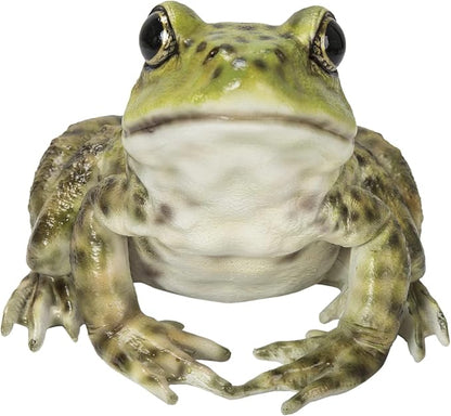 Hi-Line Gift American Bullfrog, Green