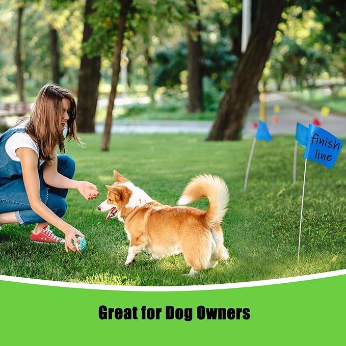 Zozen 100Pack Marking Flags, 60 Orange & 20 Green & 20 Blue, Writable / 15x4x5 Inch, Yard Flags for Lawn & Irrigation & Landscape & Sprinkler & Survey & Dog Training.