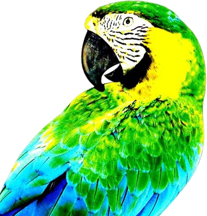 MagiDeal Artificial Parrots Figurines, Metal Birds Decoration, 2D Flat Parrot Craft Statue, Bird Model Photo Props, Macaw Sculpture for Outdoor Party Garden Lawn Yard Fence Decor, Style A