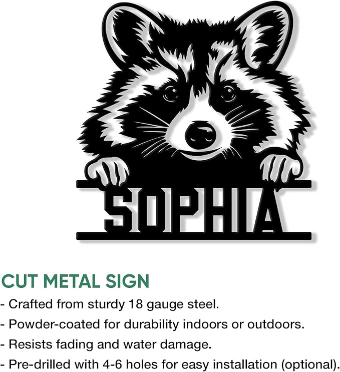 Personalized Raccoon Metal Sign, Raccoon Hanging Sign Outdoor Porch Welcome, Custom Name Wall Fence Yard Patio Home Office Decor Gifts Birthday