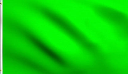 DMSE Solid Neon Green Flag, 3x5 Flag, UV Resistant, Fade Resistant Material with Metal Grommets (3ft x 5ft), (Nylon), (Neon Green)