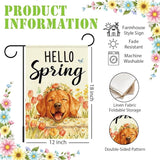 Hello Spring Golden Retriever Dog Garden Flag,Smiling Golden Retriever Spring Garden Flag for Outside Porch Lawn Yard Flags for Outdoor Decorations 12x18 Inch Double Sided
