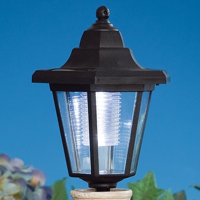 Bits and Pieces - Solar Dog Lantern-Solar Powered Garden Lantern - Resin Dog Sculpture with LED Light (Dachshund) - 13.5" Tall