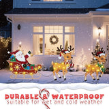 WONDER GARDEN Christmas Metal Yard Stakes, Lighted 3 Pack Christmas Garden Stakes Yard Signs, Outdoor Decorations with Santa Sleigh and Reindeer for Lawn Party Outside