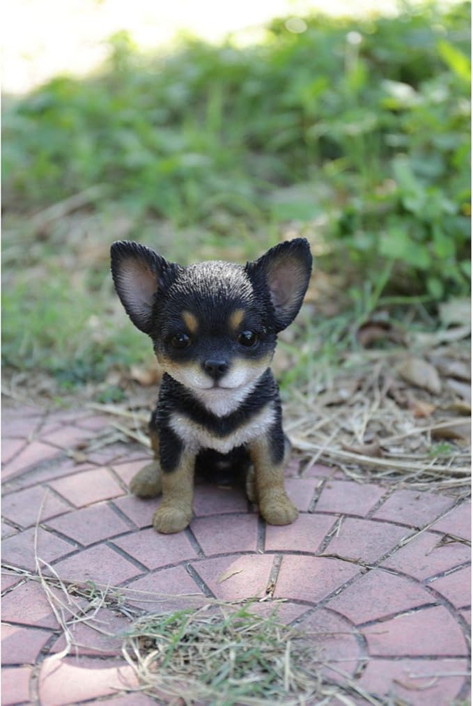 HI-LINE Sitting Chihuahua Puppy Outdoor Garden Statue - 6.5"