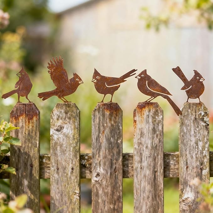 5 Pack Rusty Cardinal Birds Decoration - Outdoor Double-Side Metal Birds Decor for Fence, Yard, Farmhouse, Garden Sculptures Hummingbirds Craft Statue Ornaments Gifts for Bird Lovers (A)