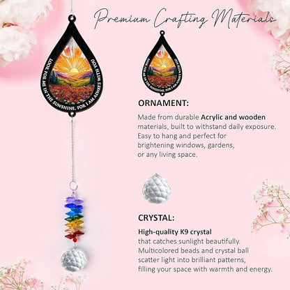 2 Layered Ornament Suncatcher - Look for Me in The Sunshine - Sympathy Gift for Loss of Loved One - Grief Gifts - Heaven Funeral Keepsake - Home Garden Decor - Mother's Day