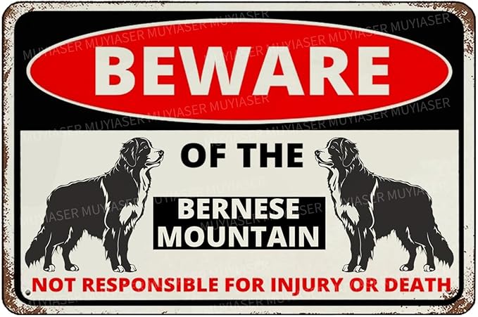 Beware Of The Dog Bernese Mountain Sign Aluminum Metal Tin Signs Outdoor Yard Sign Warning Sign For Fence Yard Home Kitchen Farm Garden Wall Decor 8x12 Inch