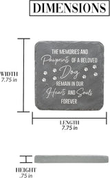 Pavilion Gift Company 25314 Dog Memorial-7.75" x 7.75" Garden Stone, Gray, White