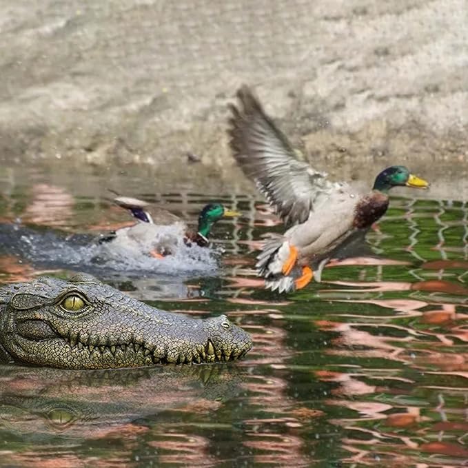 Floating Alligator Head, Pool Accessories,13.8 Inches Float Alligator Decoy for Pond, Fake Crocodile Head for Goose, Heron, Duck Deterrent Control, Garden Decor and Yard Decorations Accessories
