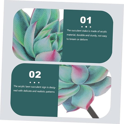 VICASKY Outdoor Acrylic Succulent Garden Stake Lifelike Plant Decor for Pathway and Courtyard Compact Decoration for Spring Vibrant Garden Ornament
