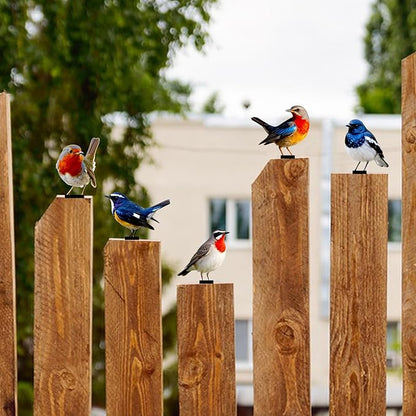 5 Pcs Vivid Bird Yard Decorations Natural Fence Decorations Outdoor Artificial Bird Color Painted 2D Sculptures for Outdoor Fences, Garden, Patio and Bird Lovers (Vivid Bird)