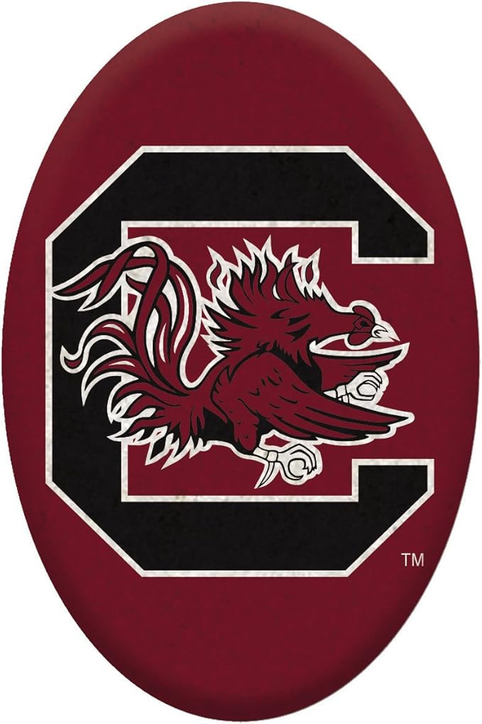 Team Sports America NCAA Your Team Rocks Team Logo Garden Rock