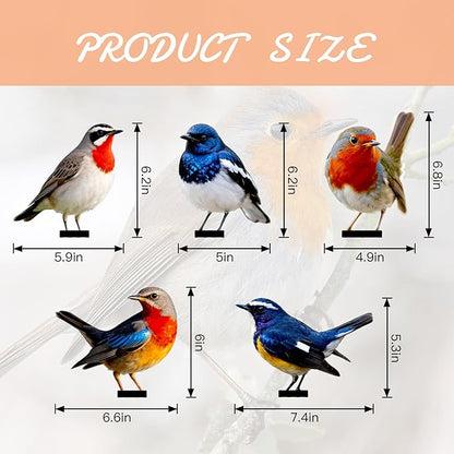 5 Pcs Vivid Bird Yard Decorations Natural Fence Decorations Outdoor Artificial Bird Color Painted 2D Sculptures for Outdoor Fences, Garden, Patio and Bird Lovers (Vivid Bird)