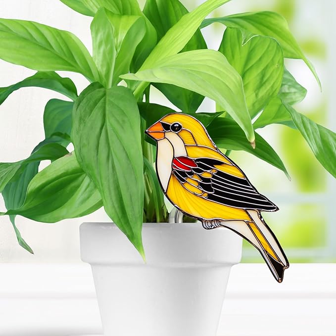Hummingbird Gifts for Women Mom Grandma, Hanging Planter for Indoor Outdoor Garden, Bird Lover Plant Decor, Mothers Day Birthday Gifts from Daughter Son(15)