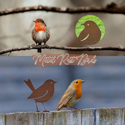 5PCS Rusty Metal Birds Decor, Metal Bird Silhouette Art, Rustic Outdoor Fence Decor, Garden Yard Art Ornaments, Vintage Metal Bird Sculptures for Patio, Tree, Wall, Farmhouse