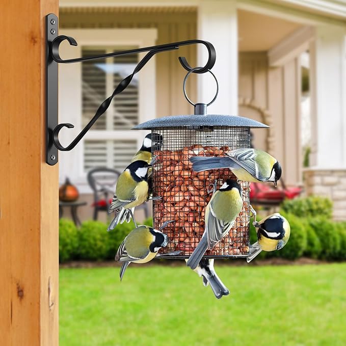 AMAGABELI GARDEN & HOME 2 Pack Hanging Plant Brackets Outdoor 10 inch Metal Fence Wall Plant Hanger Hooks for Hanging Flower Baskets Bird Feeders Lanterns Wind Chimes Rust-Resistant Black