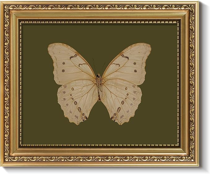 ARPEOTCY Vintage Gold Framed Wall Art, Classical White Butterfly Paintings, 8x10 inch Small Moody Green Canvas Prints with Antique Picture Frame, Victorian Wall Decor for Gallery Living Room Shelf