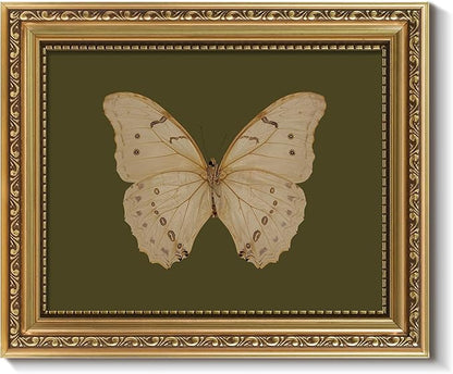 ARPEOTCY Vintage Gold Framed Wall Art, Classical White Butterfly Paintings, 8x10 inch Small Moody Green Canvas Prints with Antique Picture Frame, Victorian Wall Decor for Gallery Living Room Shelf