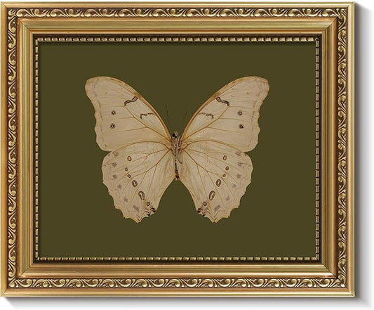 ARPEOTCY Vintage Gold Framed Wall Art, Classical White Butterfly Paintings, 8x10 inch Small Moody Green Canvas Prints with Antique Picture Frame, Victorian Wall Decor for Gallery Living Room Shelf