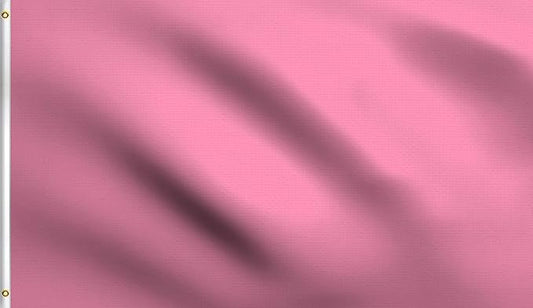 DMSE Solid Pink Flag, 3x5 Flag, UV Resistant, Fade Resistant Material with Metal Grommets (3ft x 5ft), (Polyester), (Pink)