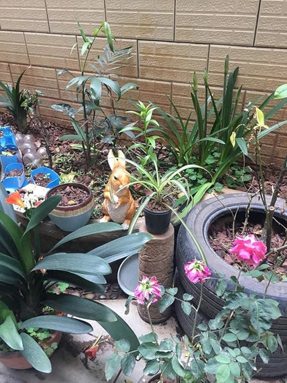 Garden Courtyard Decoration Crafts Outdoor Landscape Sculpture Resin Animal Simulation Rabbit Ornaments(Color:A)