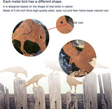 5PCS Rusty Metal Birds Decoration, Outdoor Fence Yard Decor, Metal Bird Art, Fence Decorations Outdoor, Rustic Garden Decor, Garden Sculptures Statues, Lawn Ornaments (Raven)