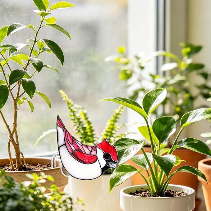 Hummingbird Gifts for Women Mom Grandma, Hanging Planter for Indoor Outdoor Garden, Bird Lover Plant Decor, Mothers Day Birthday Gifts from Daughter Son(5)