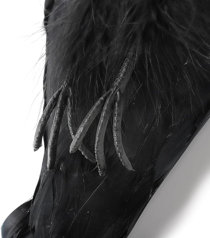 Noamus 17 Inches Realistic Hanging Dead Crow, Lifesize Extra Large Black Feathered Crow, Fake Decoy Raven for Garden Halloween Decorations Birds, Artificial Handmade, Model, Party Props