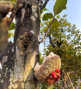 Climbing Hedgehog Tree Hugger Garden Animal Statue Resin Sculpture Yard Decor for Outside, Funny Tree Climber Figurine Outdoor Patio Lawn Ornaments
