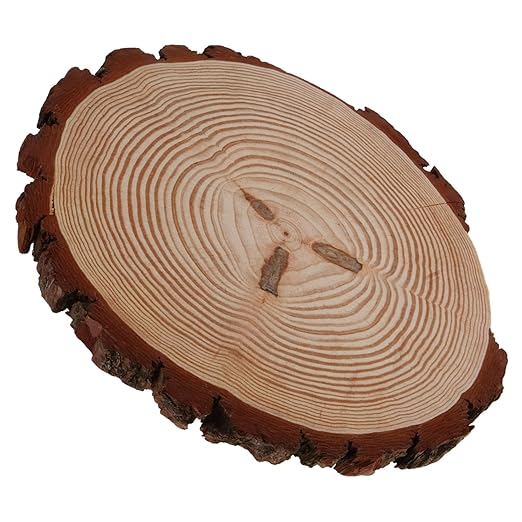 BESPORTBLE 1pcs Outdoor Wooden Garden Pathway Paver Stepping Slice for Landscaping Lawn Walkway Decoration Elegant Garden Supplies