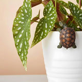 Yolev Turtle Statue Plant Pot Hanger Resin Tortoise Figurine Climbing Turtle Ornament Garden Decor Planter Pots Decorations Turtles Gifts for Yard Garden Ornaments Pot Decoration