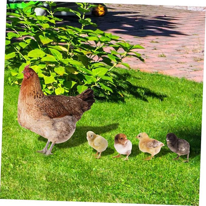Mikikit 5pcs Acrylic Chicken Stakes Rustic Lawn Decoration for Outdoor Patio Garden Weather Resistant Garden Statues for Backyard and Farm Decor