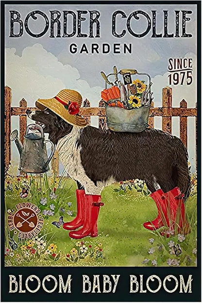 Funny Flowers Metal Poster, Dog Country Rustic Tin Sign, Border Collie Garden Bloom Baby Bloom, Yard Farm Outside Wall Decor Plaque Outdoor for Home Fence 8 X 12 Inch