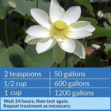 API POND pH UP Pond Water pH Raising Solution 16-Ounce Bottle