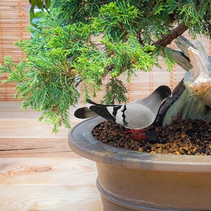 5Pcs Realistic Simulation Pigeon Models Imitation Pigeons for Home and Garden Decor Lifelike Ornamental Birds for Indoor and Outdoor Use for Photography Props