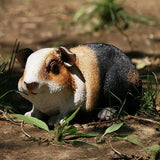 Outdoor Statues AO Guinea Pig Figurines Garden Cute Cartoon Animals Model Garden decor,3.9inch High