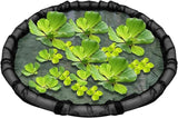 Floating Pond Corral Plant Rings - 90g 45 Cms, and Round Floating Plant Ring Fine Mesh Nets, Planters for Garden Pond Decoration Home | Outdoor Decors Maintaining Water Features Utilizations