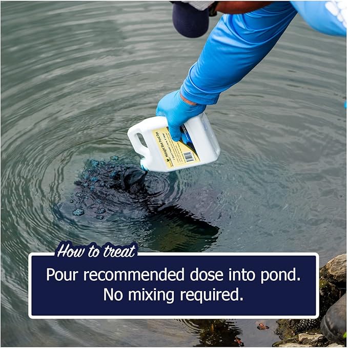 Natural Waterscapes Pond Dye - Reflective Black Super Concentrate - 1 Quart Treats 1 Acre up to 6 Feet Deep, Black Pond Dye Creates a Dark Mirrored Reflection of Surroundings (1)