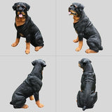 Rottweiler Front-Gate Sentinel with Solar Lantern & Double-Sided Sign, Sitting Black & Tan Statue for Drive, Portico, Lawn & Path
