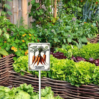 Bidesign (7X8.8) IN Carrots Aluminum Vegetable Garden Sign With Stake Vegetable Plant Marker Garden Stake Tags With Vegetable Names fFor Nursery Outdoor Vegetable Garden Fence Decoration