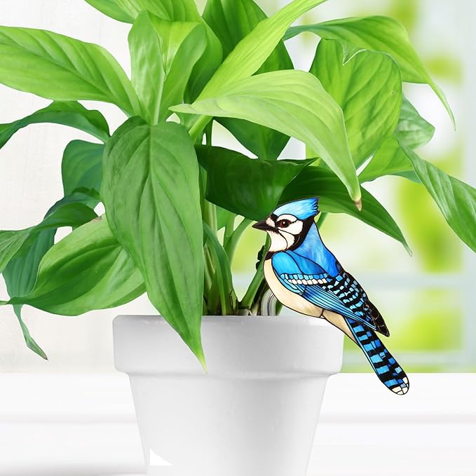 Hummingbird Gifts for Women Mom Grandma, Hanging Planter for Indoor Outdoor Garden, Bird Lover Plant Decor, Mothers Day Birthday Gifts from Daughter Son(12)